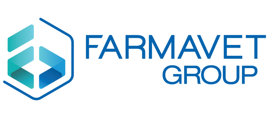 logo FV GROUP landscape-01[1]